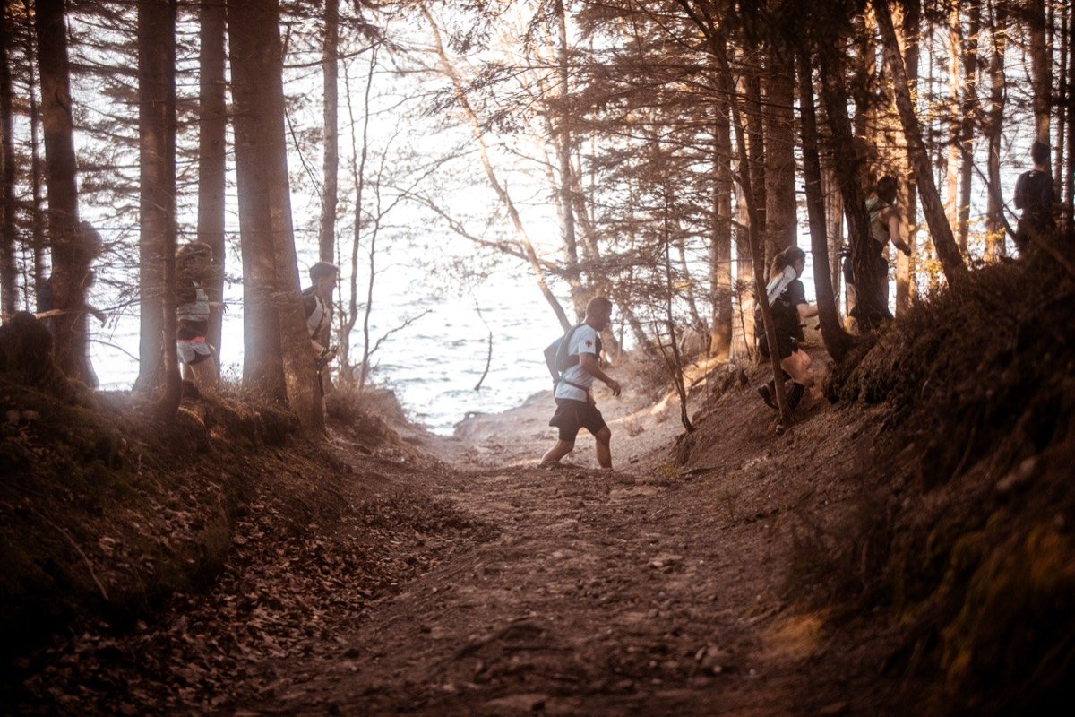 Sentier forestier en contre-jour