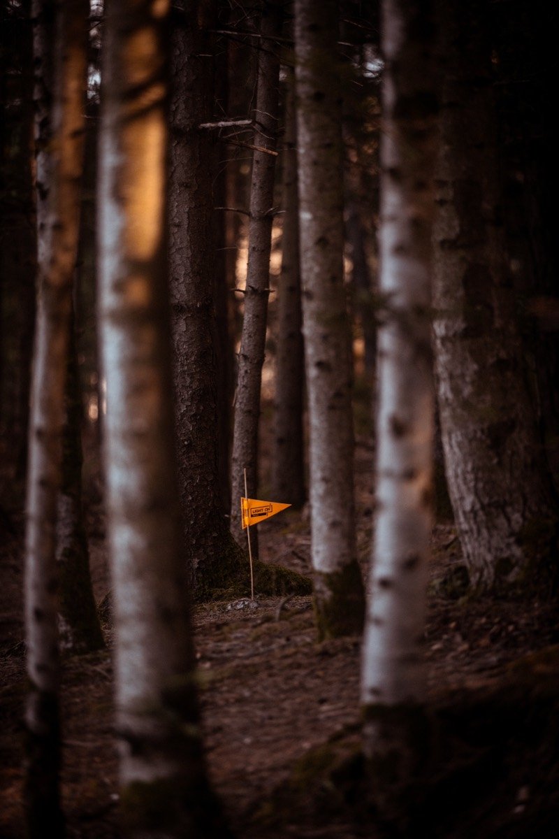 Fanion de balisage LIGHT ON en forêt